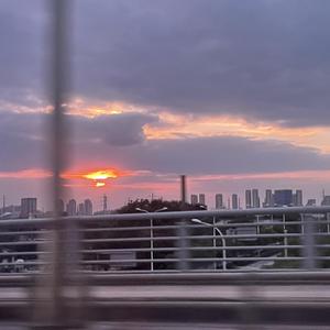 复古伦理经典XXXX
