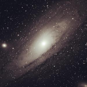 复古伦理经典XXXX
