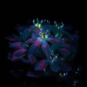 复古伦理经典XXXX
